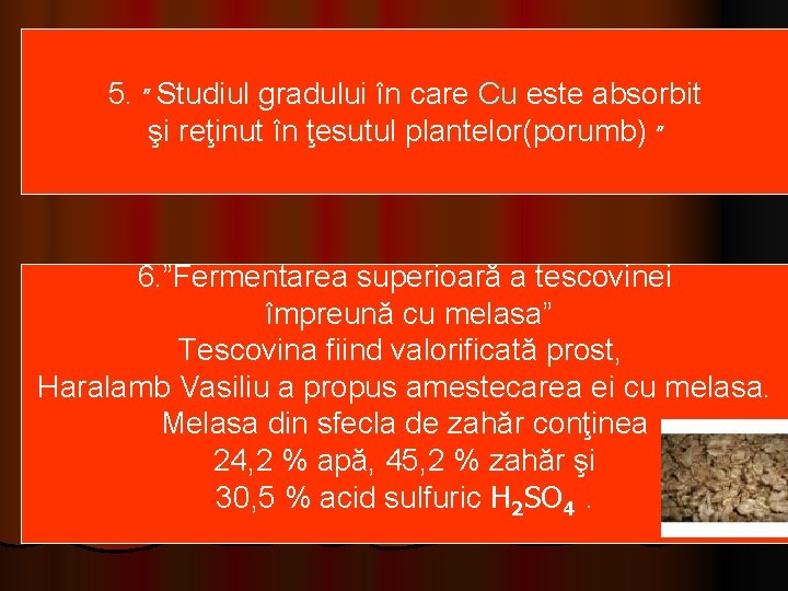 5. ” Studiul gradului în care Cu este absorbit şi reţinut în ţesutul plantelor(porumb)