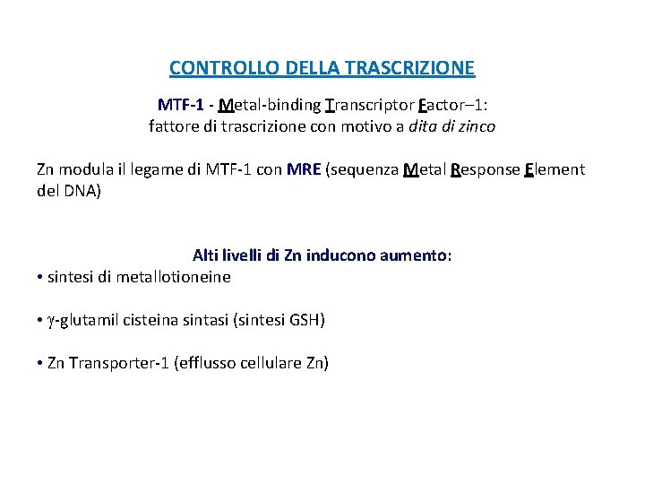 CONTROLLO DELLA TRASCRIZIONE MTF-1 - Metal-binding Transcriptor Factor– 1: fattore di trascrizione con motivo