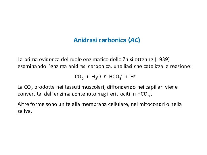 Anidrasi carbonica (AC) La prima evidenza del ruolo enzimatico dello Zn si ottenne (1939)