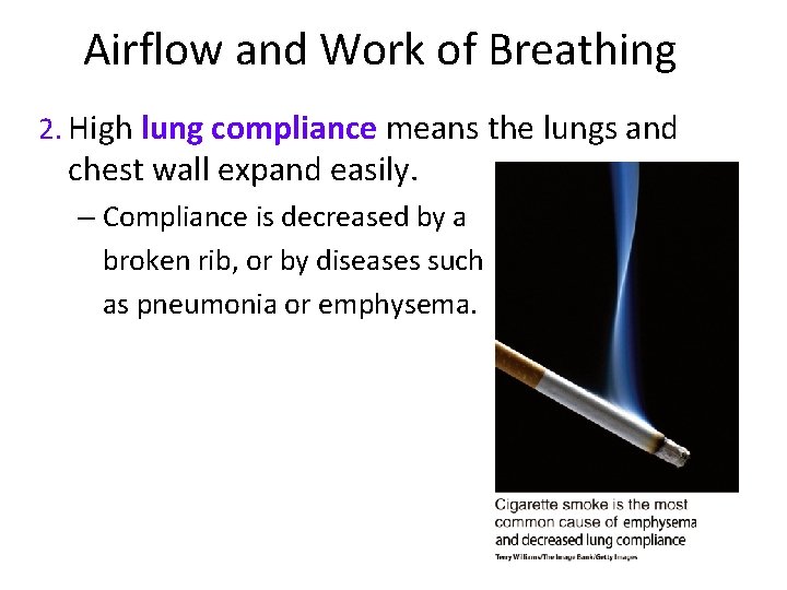 Airflow and Work of Breathing 2. High lung compliance means the lungs and chest