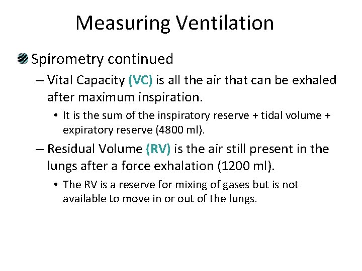 Measuring Ventilation Spirometry continued – Vital Capacity (VC) is all the air that can