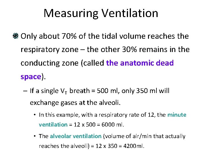 Measuring Ventilation Only about 70% of the tidal volume reaches the respiratory zone –