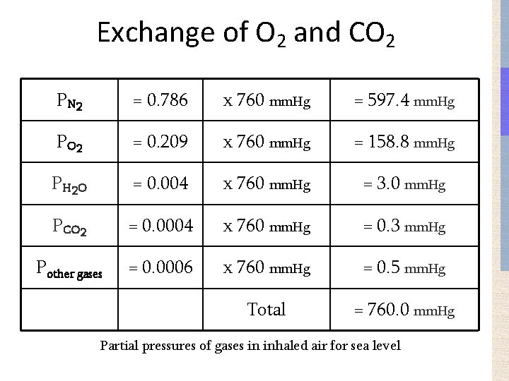 Exchange of O 2 and CO 2 P N 2 = 0. 786 x