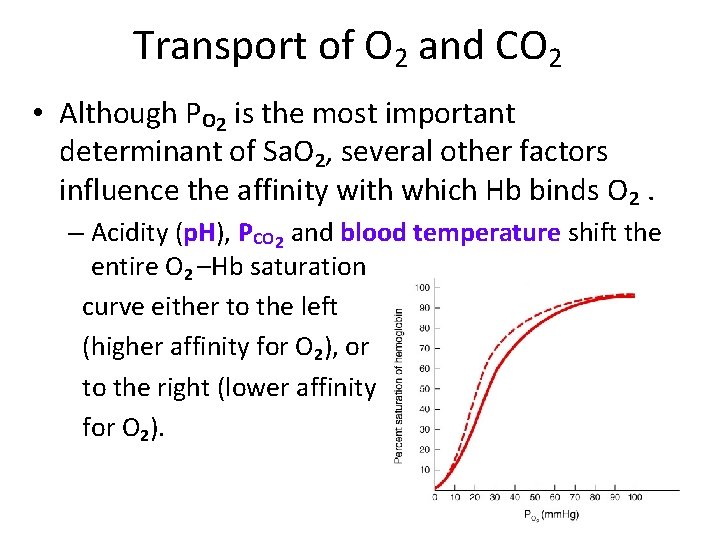 Transport of O 2 and CO 2 • Although PO 2 is the most