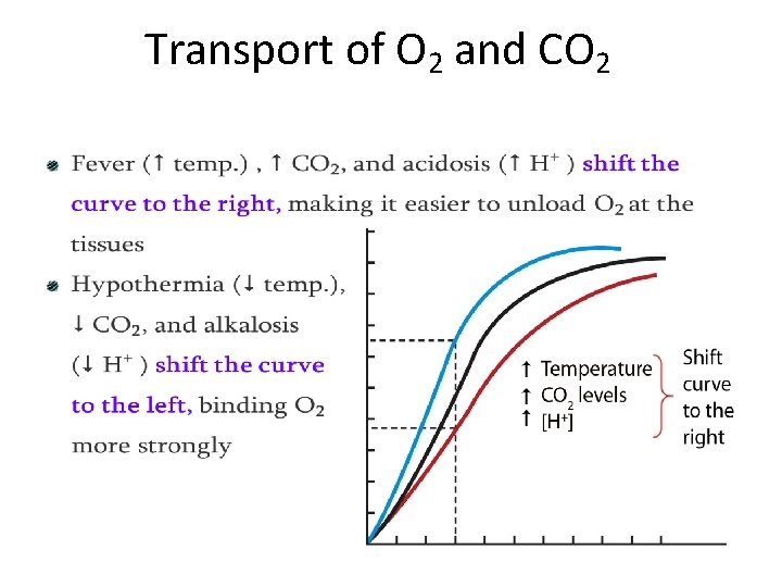 Transport of O 2 and CO 2 • 