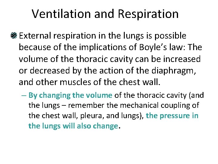 Ventilation and Respiration External respiration in the lungs is possible because of the implications