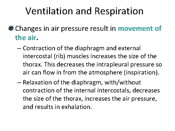 Ventilation and Respiration Changes in air pressure result in movement of the air. –