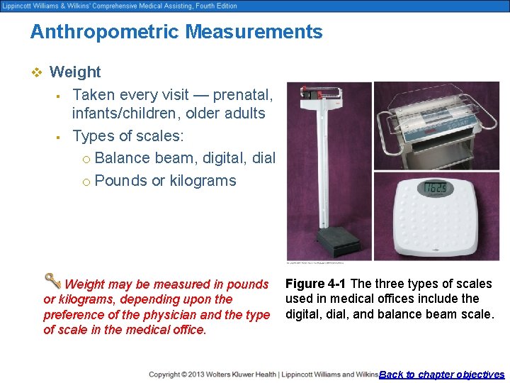 Anthropometric Measurements v Weight § § Taken every visit — prenatal, infants/children, older adults