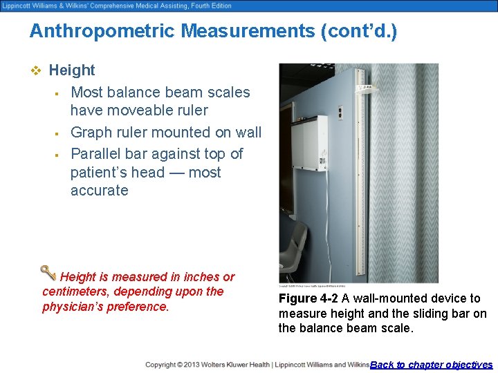 Anthropometric Measurements (cont’d. ) v Height § § § Most balance beam scales have