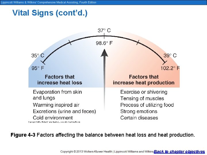 Vital Signs (cont’d. ) Figure 4 -3 Factors affecting the balance between heat loss