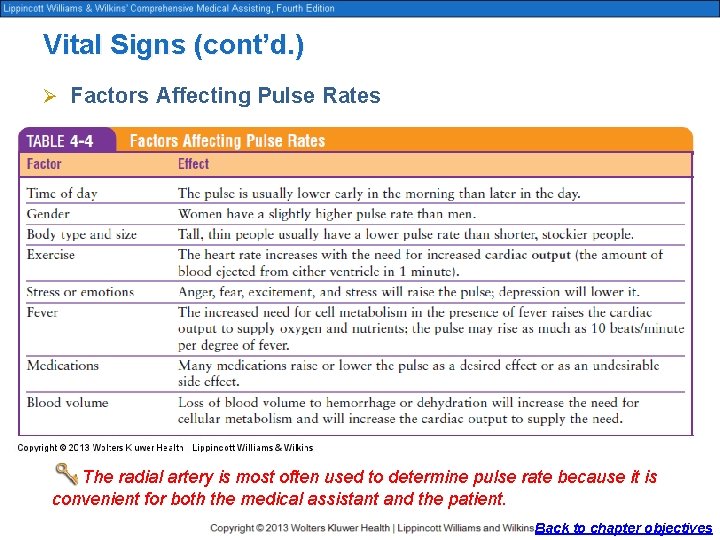 Vital Signs (cont’d. ) Ø Factors Affecting Pulse Rates The radial artery is most