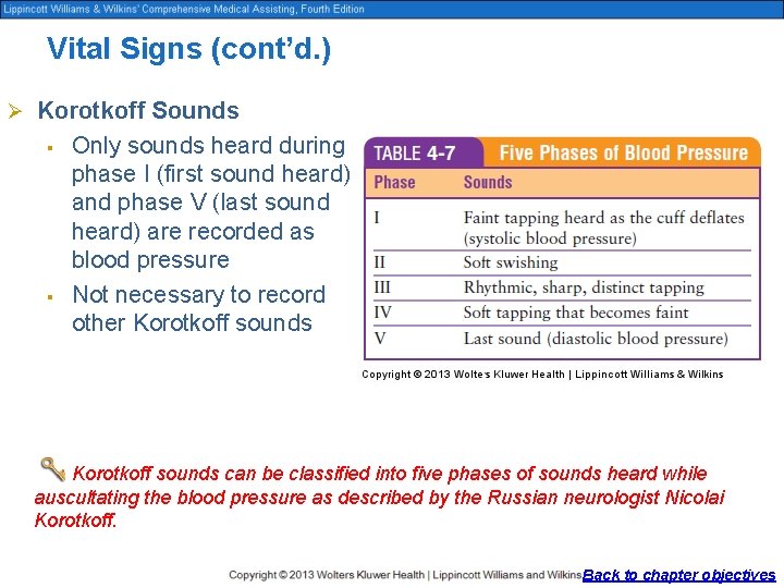 Vital Signs (cont’d. ) Ø Korotkoff Sounds § § Only sounds heard during phase