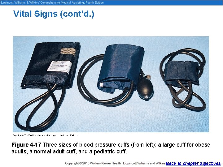 Vital Signs (cont’d. ) Figure 4 -17 Three sizes of blood pressure cuffs (from
