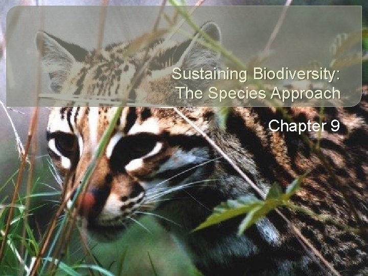 Sustaining Biodiversity: The Species Approach Chapter 9 