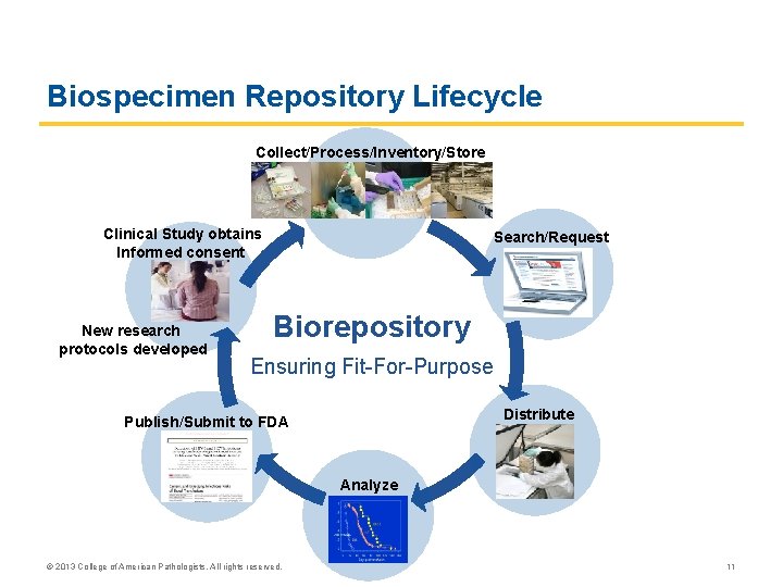 Biospecimen Repository Lifecycle Collect/Process/Inventory/Store Clinical Study obtains Informed consent New research protocols developed Search/Request Biospecimen Repository Lifecycle Collect/Process/Inventory/Store Clinical Study obtains Informed consent New research protocols developed Search/Request
