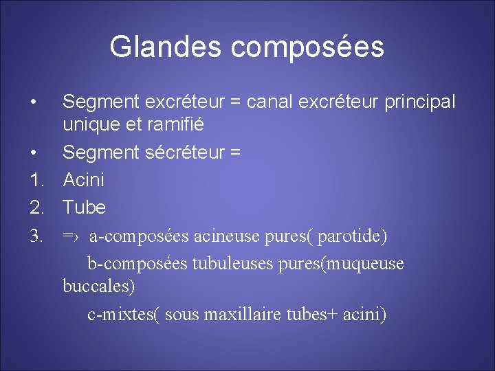 Glandes composées • Segment excréteur = canal excréteur principal unique et ramifié • Segment