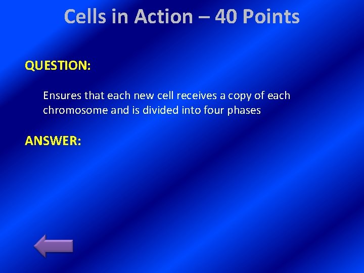 Cells in Action – 40 Points QUESTION: Ensures that each new cell receives a