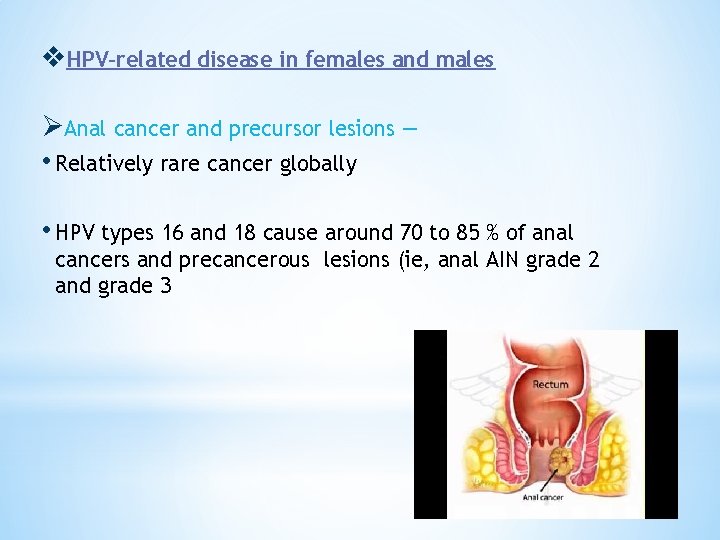 v. HPV-related disease in females and males ØAnal cancer and precursor lesions — •