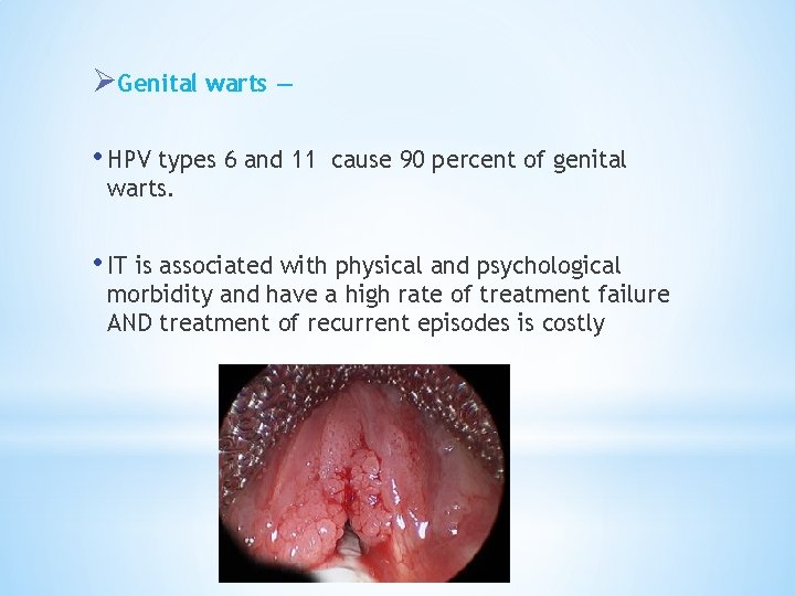 ØGenital warts — • HPV types 6 and 11 cause 90 percent of genital