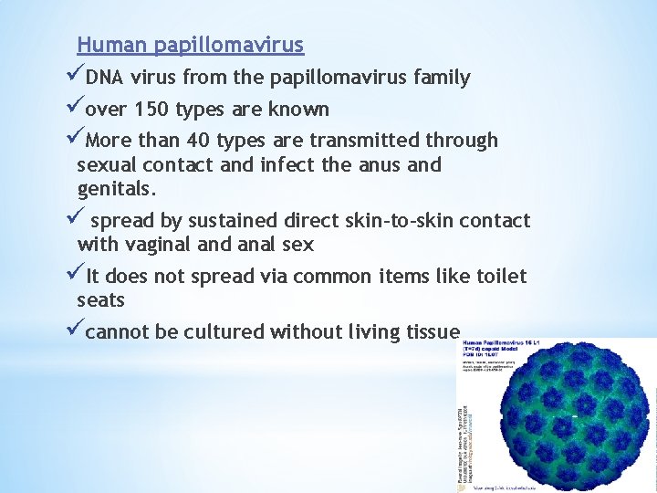 Human papillomavirus üDNA virus from the papillomavirus family üover 150 types are known üMore