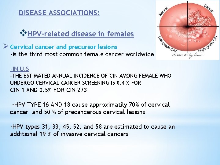 DISEASE ASSOCIATIONS: v. HPV-related disease in females Ø Cervical cancer and precursor lesions -is