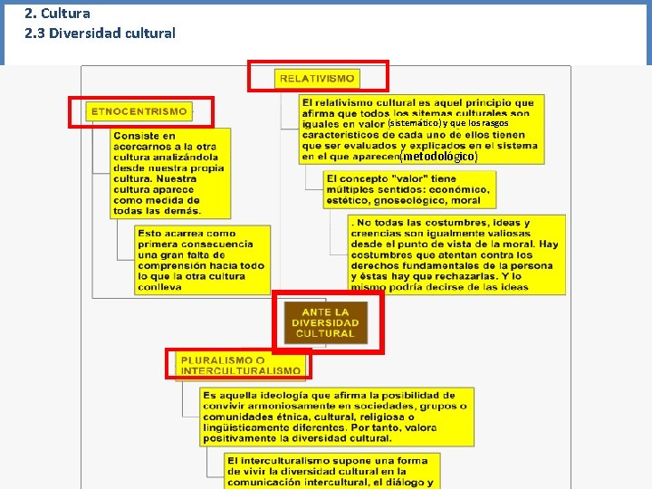 2. Cultura 2. 3 Diversidad cultural (sistemático) y que los rasgos (metodológico) 