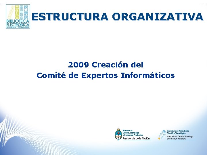 ESTRUCTURA ORGANIZATIVA 2009 Creación del Comité de Expertos Informáticos 