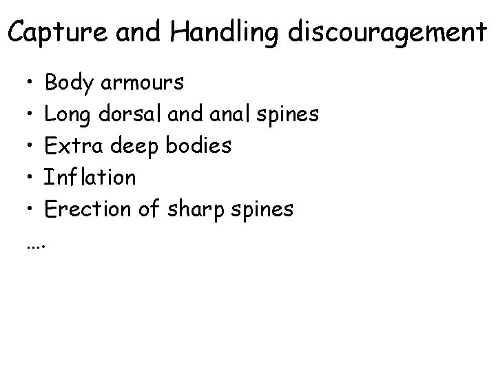 Capture and Handling discouragement • Body armours • Long dorsal and anal spines •