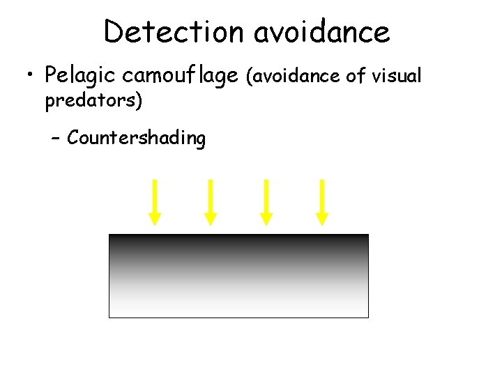 Detection avoidance • Pelagic camouflage (avoidance of visual predators) – Countershading 