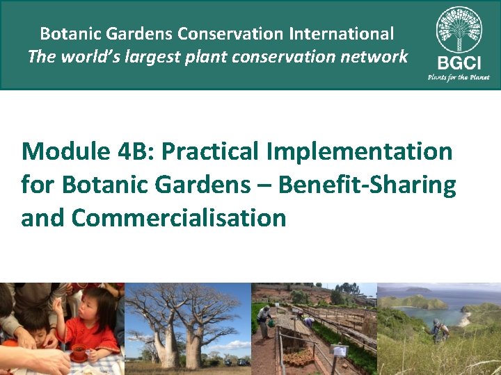 Botanic Gardens Conservation International The world’s largest plant conservation network Module 4 B: Practical