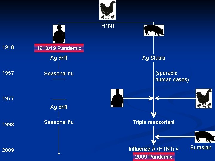 H 1 N 1 1918/19 Pandemic Ag drift 1957 Seasonal flu Ag Stasis (sporadic