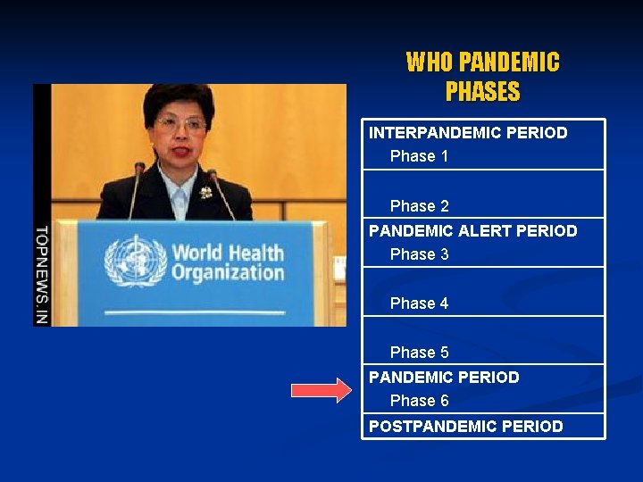 WHO PANDEMIC PHASES INTERPANDEMIC PERIOD Phase 1 Phase 2 PANDEMIC ALERT PERIOD Phase 3