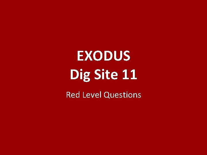 EXODUS Dig Site 11 Red Level Questions 