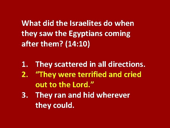 What did the Israelites do when they saw the Egyptians coming after them? (14: