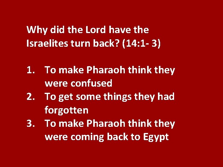 Why did the Lord have the Israelites turn back? (14: 1 - 3) 1.