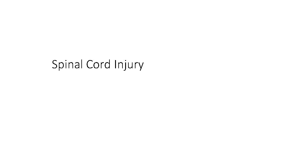 Spinal Cord Injury 