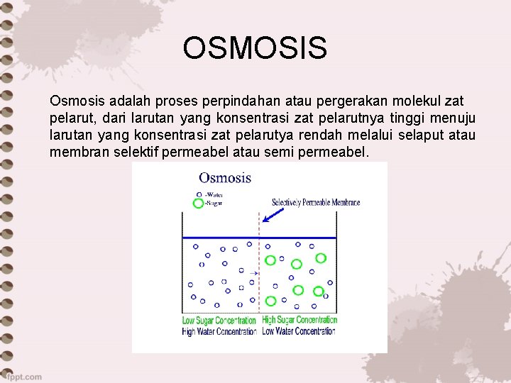 OSMOSIS Osmosis adalah proses perpindahan atau pergerakan molekul zat pelarut, dari larutan yang konsentrasi