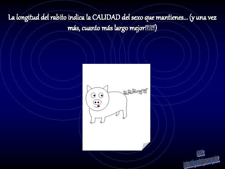 La longitud del rabito indica la CALIDAD del sexo que mantienes. . . (y