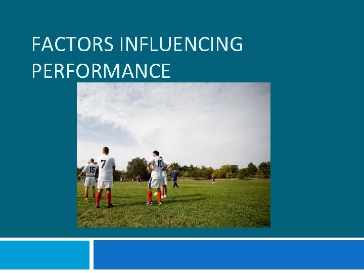 FACTORS INFLUENCING PERFORMANCE 