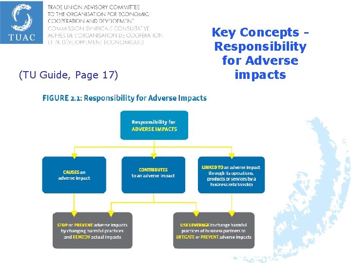 (TU Guide, Page 17) Key Concepts Responsibility for Adverse impacts 
