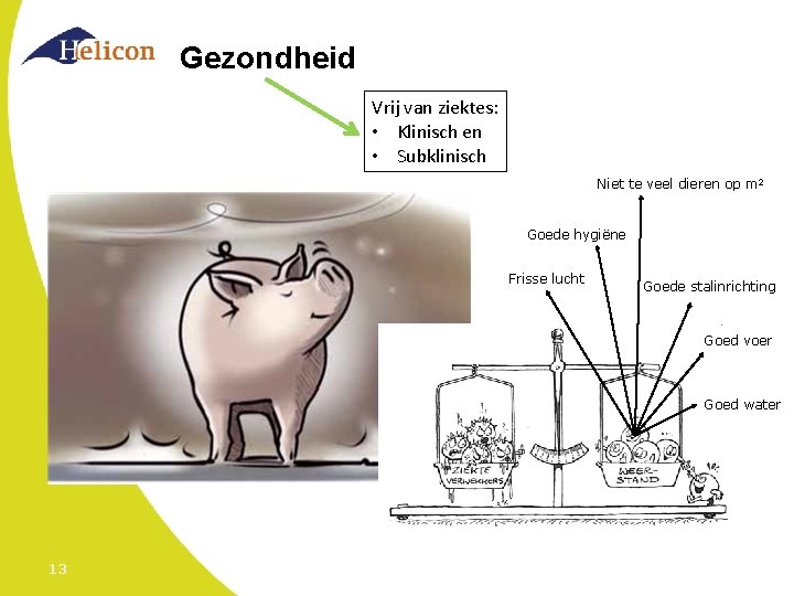 Gezondheid Vrij van ziektes: • Klinisch en • Subklinisch Niet te veel dieren op