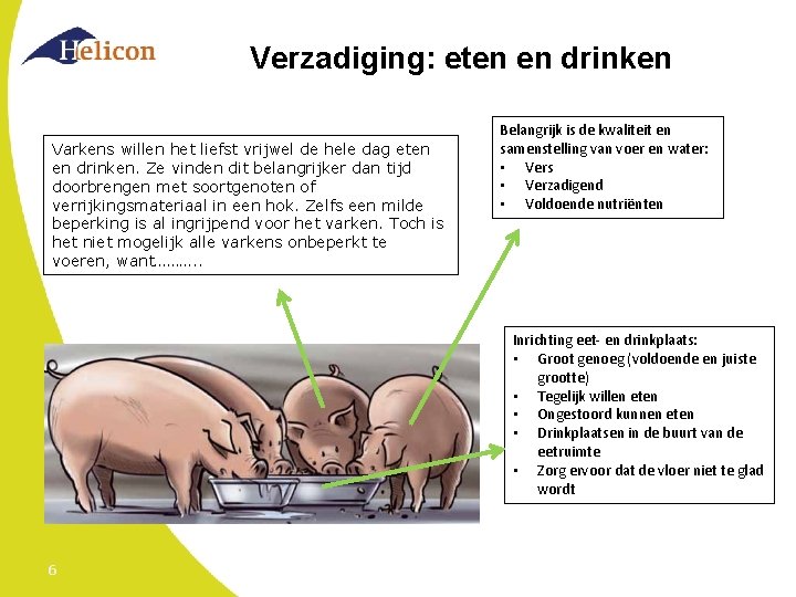 Verzadiging: eten en drinken Varkens willen het liefst vrijwel de hele dag eten en