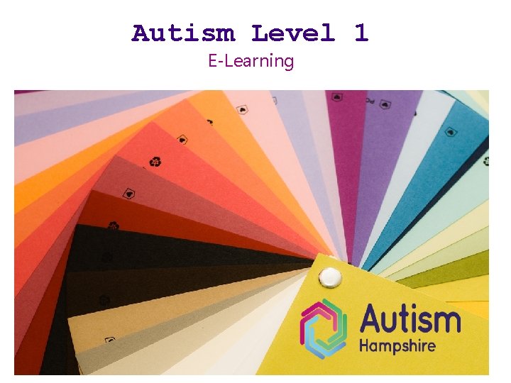 Autism Level 1 E-Learning 