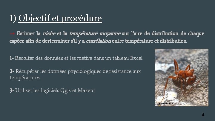 I) Objectif et procédure → Estimer la niche et la température moyenne sur l’aire