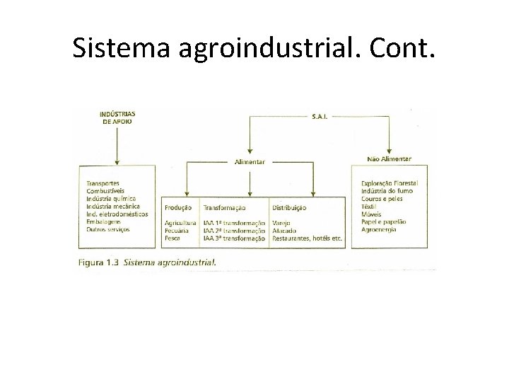 Sistema agroindustrial. Cont. 