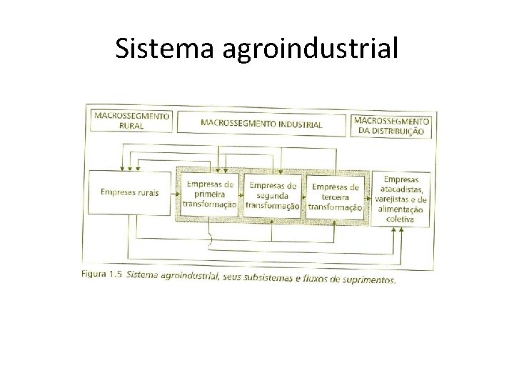 Sistema agroindustrial 