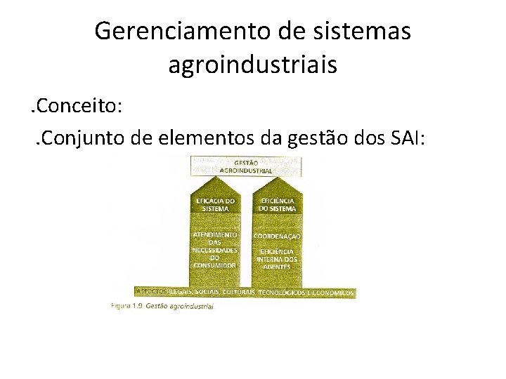 Gerenciamento de sistemas agroindustriais. Conceito: . Conjunto de elementos da gestão dos SAI: 
