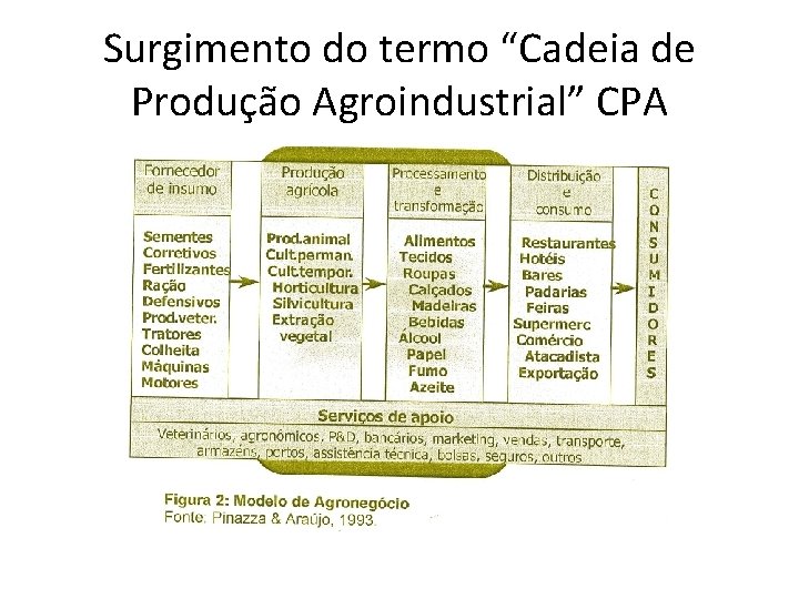 Surgimento do termo “Cadeia de Produção Agroindustrial” CPA 