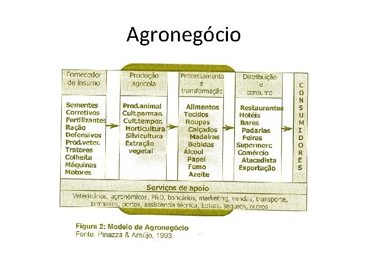 Agronegócio 