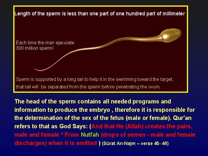 Length of the sperm is less than one part of one hundred part of